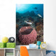 Clown Triggerfish near Spawning Wall Decal