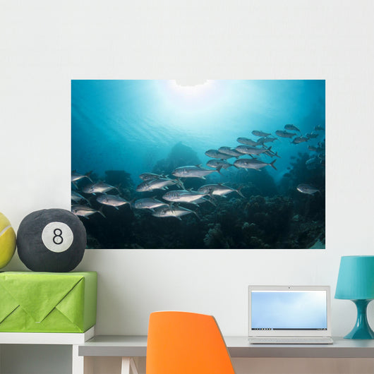 Trevally School Komodo National Wall Decal
