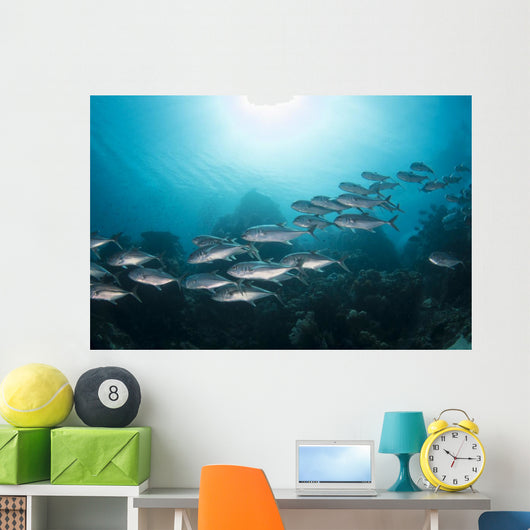 Trevally School Komodo National Wall Decal