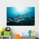 Trevally School Komodo National Wall Decal
