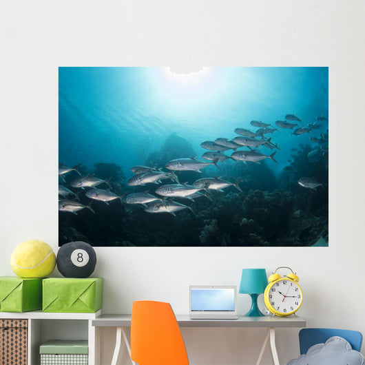 Trevally School Komodo National Wall Decal