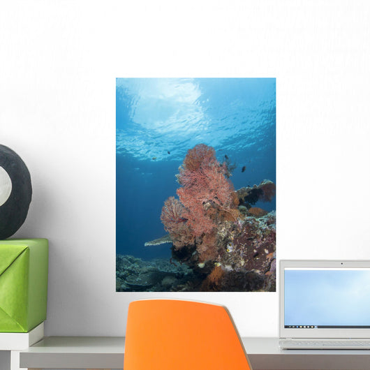 Reef Scene Komodo National Wall Decal