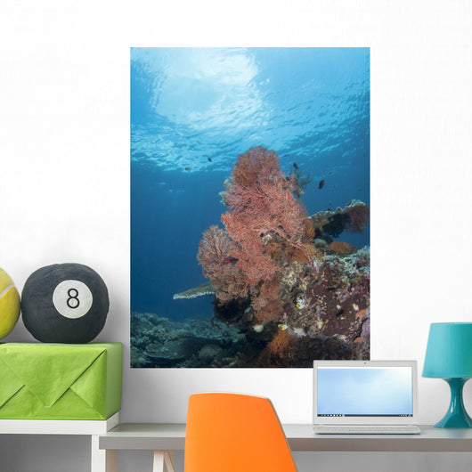 Reef Scene Komodo National Wall Decal