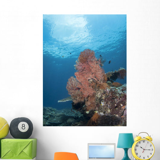 Reef Scene Komodo National Wall Decal