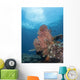 Reef Scene Komodo National Wall Decal