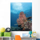 Reef Scene Komodo National Wall Decal
