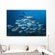 Yellowmask Surgeonfish School Komodo Wall Decal