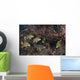 Sweetlips Komodo National Park Wall Decal