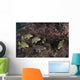Sweetlips Komodo National Park Wall Decal