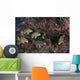 Sweetlips Komodo National Park Wall Decal