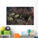 Sweetlips Komodo National Park Wall Decal