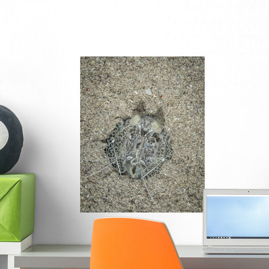 Spearing Mantis Shrimp Komodo Wall Decal