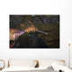 Weedy Sea Dragon Tasmania Wall Decal