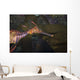Weedy Sea Dragon Tasmania Wall Decal
