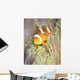 False Clownfish Anemone Komodo Wall Decal