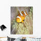 False Clownfish Anemone Komodo Wall Decal