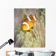 False Clownfish Anemone Komodo Wall Decal