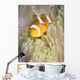 False Clownfish Anemone Komodo Wall Decal