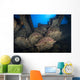 Land Mines San Francisco Wall Decal