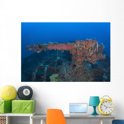 Bow Gun San Francisco Wall Decal