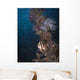 Batfish Shinkoku Maru Shipwreck Wall Decal