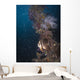 Batfish Shinkoku Maru Shipwreck Wall Decal
