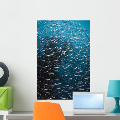 Fish Shinkoku Maru Shipwreck Wall Decal shown on a wall