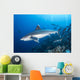 Silvertip Shark outside Barrier Wall Decal