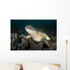 Green Sea Turtle Philippines Wall Decal