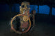 Helm Nippo Maru Shipwreck Wall Decal