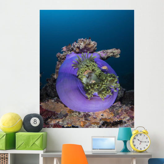 Aneomone Shinokoku Maru Shipwreck Wall Decal
