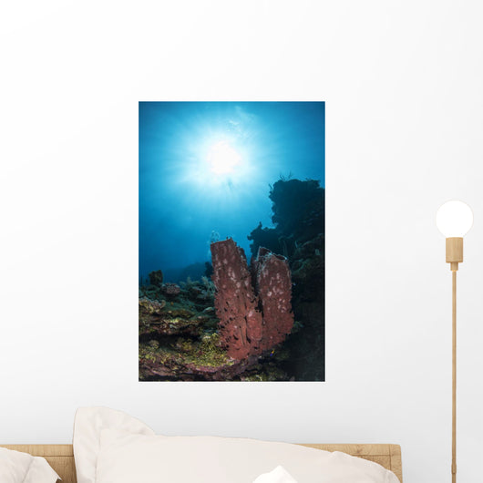Sponge Reef Roatan Honduras Wall Decal