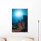 Sponge Reef Roatan Honduras Wall Decal
