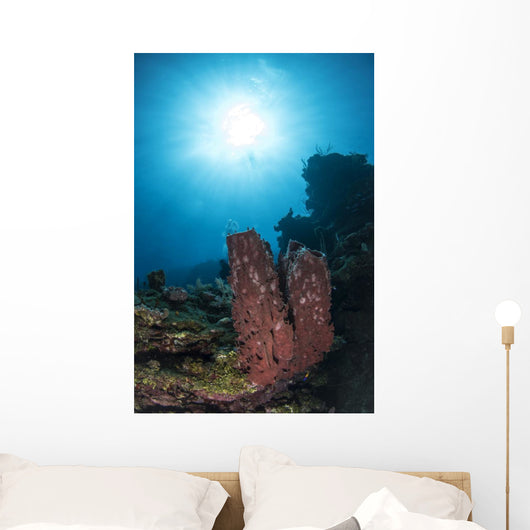 Sponge Reef Roatan Honduras Wall Decal