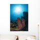 Sponge Reef Roatan Honduras Wall Decal