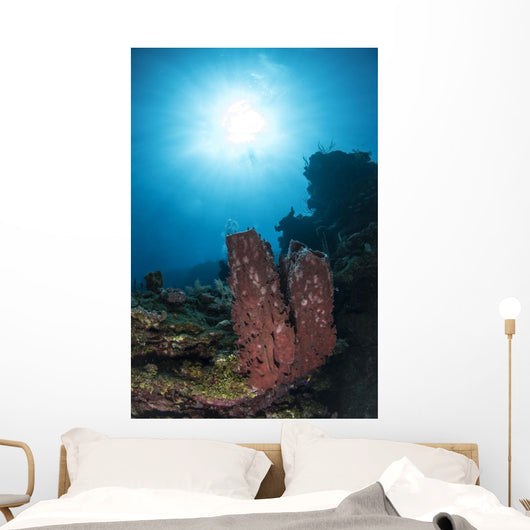Sponge Reef Roatan Honduras Wall Decal