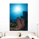 Sponge Reef Roatan Honduras Wall Decal