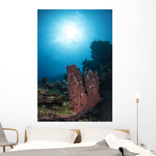 Sponge Reef Roatan Honduras Wall Decal