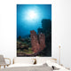 Sponge Reef Roatan Honduras Wall Decal