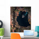 Fish Rio Janeiro Maru Wall Decal