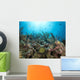 French Angelfish Reef Roatan Wall Decal