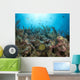 French Angelfish Reef Roatan Wall Decal