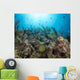 French Angelfish Reef Roatan Wall Decal