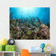 French Angelfish Reef Roatan Wall Decal