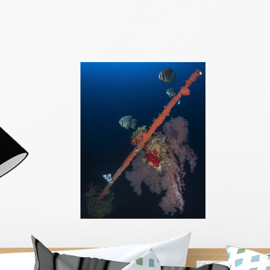 Bow Hoki Maru Shipwreck Wall Decal