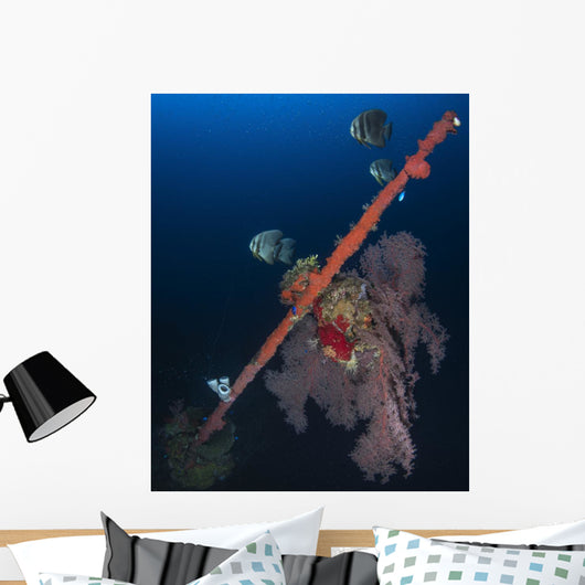Bow Hoki Maru Shipwreck Wall Decal
