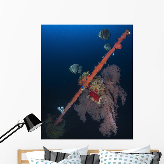 Bow Hoki Maru Shipwreck Wall Decal
