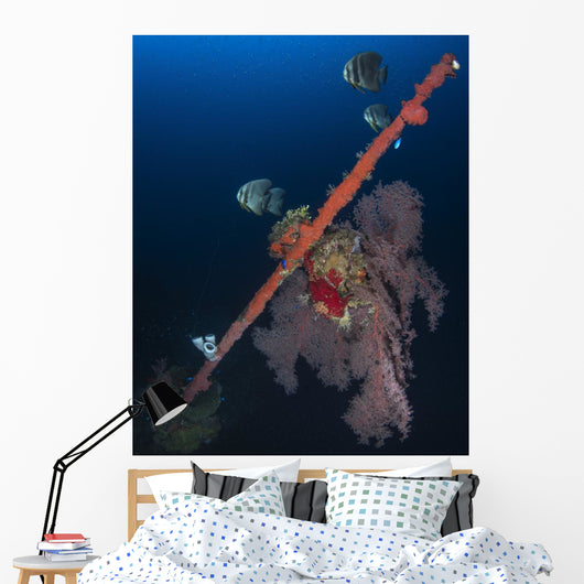 Bow Hoki Maru Shipwreck Wall Decal