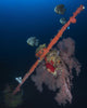 Bow Hoki Maru Shipwreck Wall Decal