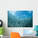 School Sardines Moalboal Philippines Wall Decal